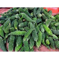 Fresh Bitter gourd (Karela) - 250 gm