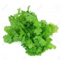 Corriander Leaves 2 Judi